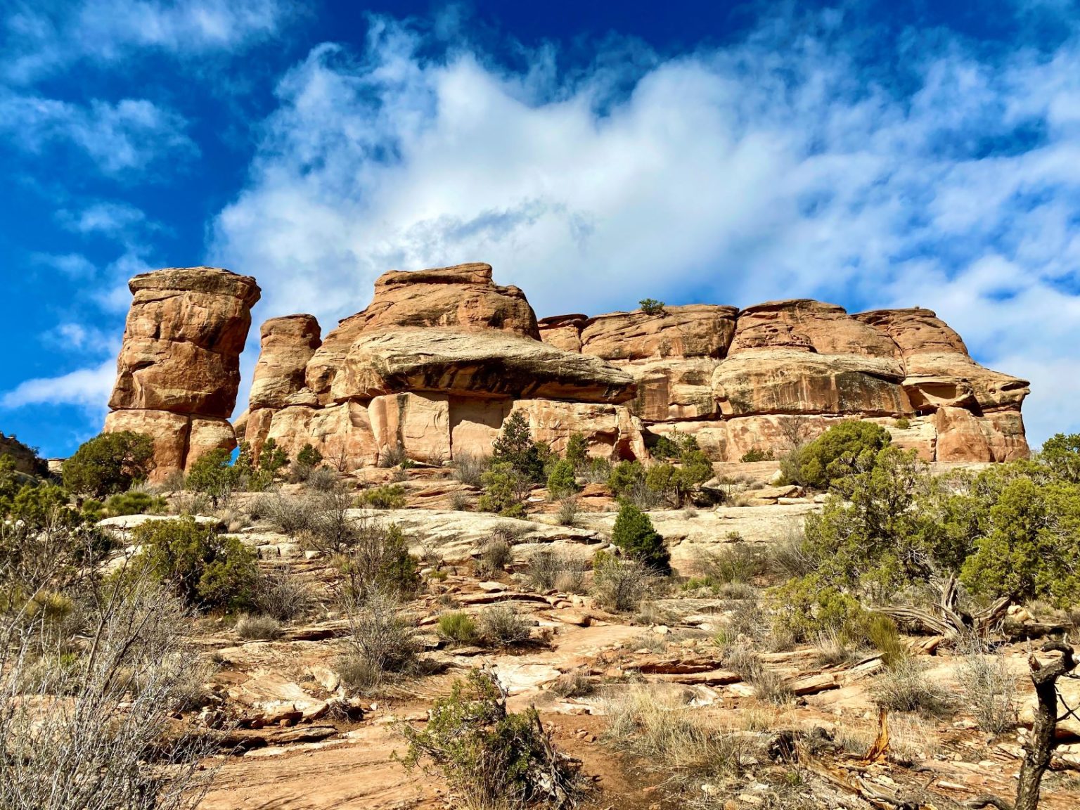 7 Great Hikes in Colorado National Monument - Hearty Hiker explore the ...