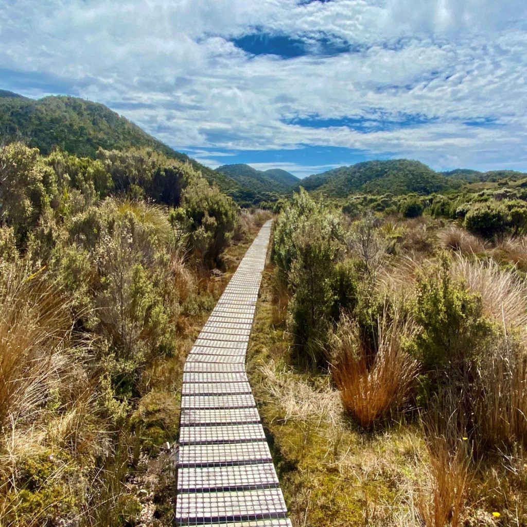 Heaphy Track New Zealand trail through shrubby downs