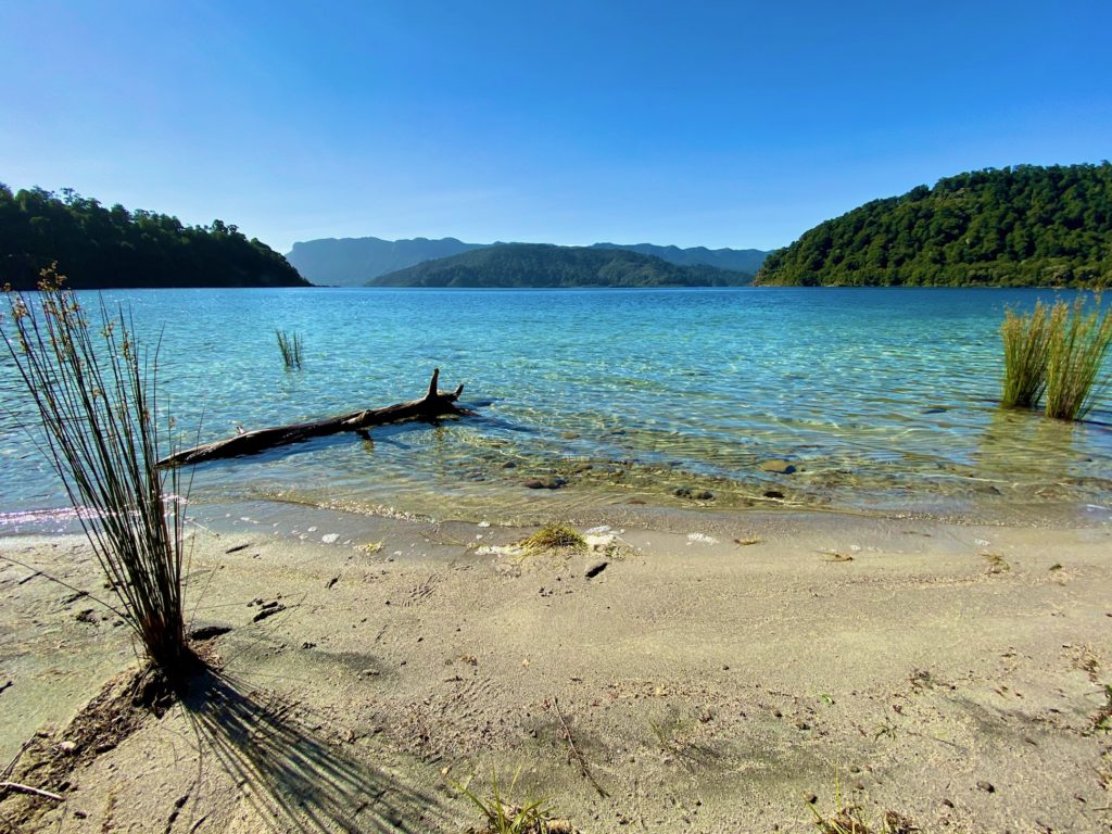 Lake Waikaremoana beach and reeds