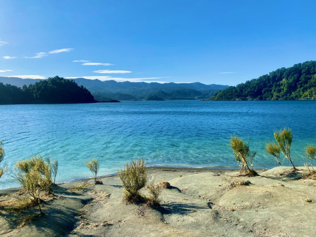 Lake Waikaremoana beach and shrubs